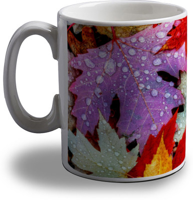 

Artifa Colorful Leaves AMG0187 Porcelain, Ceramic Mug(350 ml), Multicolor