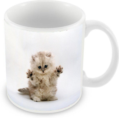 

Sleep Nature's SN-MG-1717 Ceramic Mug(350 ml), Multicolor