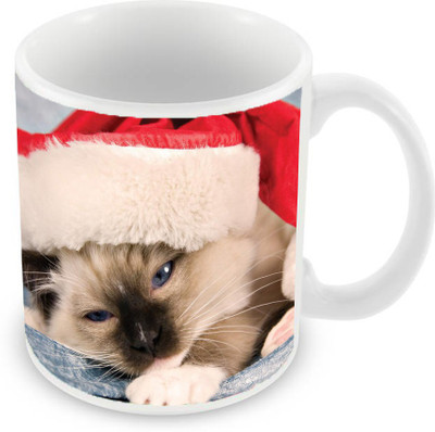 

Sleep Nature's SN-MG-1099 Ceramic Mug(350 ml), Multicolor