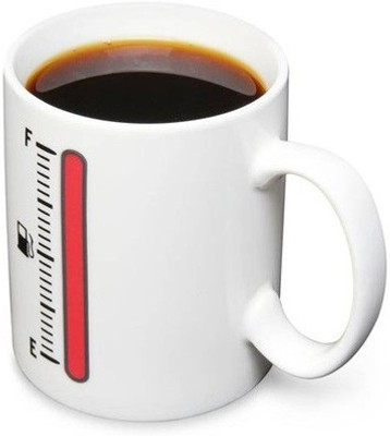 

GeekGoodies Thermometre Color Changing Ceramic Mug(275 ml)