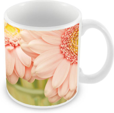 Sleep Nature's SN-MG-2034 Ceramic Mug(350 ml), Pink