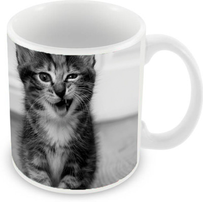 Sleep Nature's SN-MG-1590 Ceramic Mug(350 ml), Black