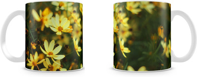 

Mott2 Hswm002 (33)s Ceramic Mug(350 ml)