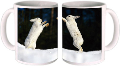 

Shopmillions Rabbit Fight Ceramic Mug(300 ml)