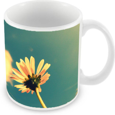 

Sleep Nature's SN-MG-1936 Ceramic Mug(350 ml), Multicolor