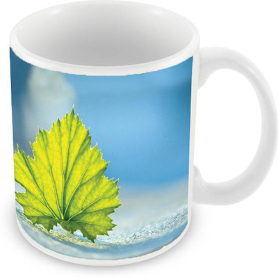 

Sleep Nature's SN-MG-1811 Ceramic Mug(350 ml), Green