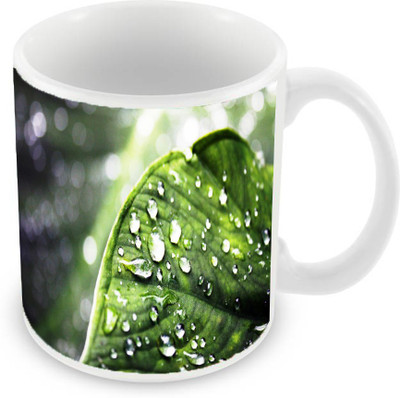 

Sleep Nature's SN-MG-849 Ceramic Mug(350 ml), Green