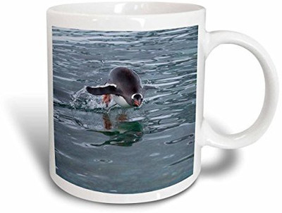 

3dRose Gentoo Penguin, Antarctica An02 Awo0015 Art Wolfe Ceramic, 15 oz, White Ceramic Mug(60 ml), Multicolor