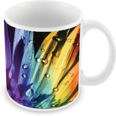 

Sleep Nature's SN-MG-1107 Ceramic Mug(350 ml), Multicolor