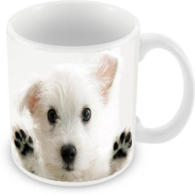 

Sleep Nature's SN-MG-44 Ceramic Mug(350 ml), White