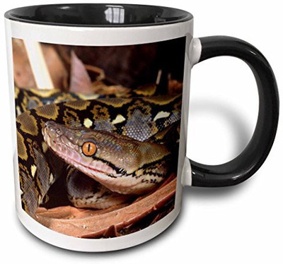 

3dRose mug_83979_4 Reticulated Python Snake NA02 DNO0481 David Northcott Two Tone Black, 11 oz, Black/White Ceramic Mug(60 ml), Multicolor