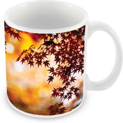 

Sleep Nature's SN-MG-2451 Ceramic Mug(350 ml), Multicolor
