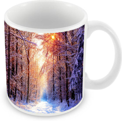 

Sleep Nature's SN-MG-672 Ceramic Mug(350 ml), Multicolor