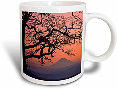 

3dRose USA, Oregon, Columbia River Gorge. Mt Hood Framed By Oak Tree. Ceramic, 15 oz, White Ceramic Mug(60 ml), Multicolor