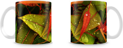 

Mott2 Hswm002 (100) Mott2s Ceramic Mug(350 ml)