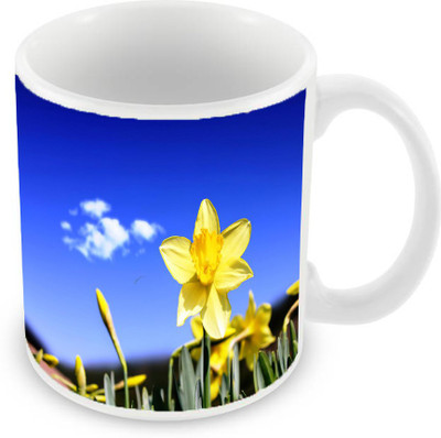 

Sleep Nature's SN-MG-591 Ceramic Mug(350 ml), Blue