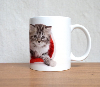 66% OFF on StyBuzz Grey Cat In Santa Hat Christmas Ceramic Coffee Mug(300 ml) 66% OFF on StyBuzz Grey Cat In Santa Hat Christmas Ceramic Coffee Mug(300 ml)