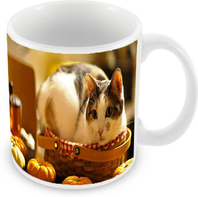

Sleep Nature's SN-MG-604 Ceramic Mug(350 ml), Multicolor