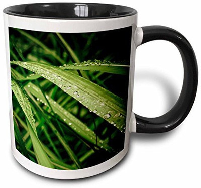 

3dRose Morning Dew Two Tone Black, 11 oz, Black/White Ceramic Mug(60 ml), Multicolor