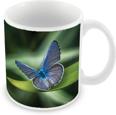 

Sleep Nature's SN-MG-2104 Ceramic Mug(350 ml), Multicolor