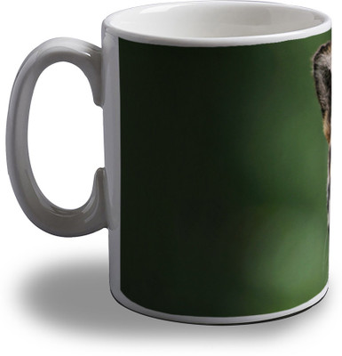 

Artifa Tiger Eyes Porcelain, Ceramic Mug(350 ml), Multicolor