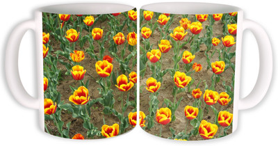 

PhotogiftsIndia yellow flower garden Ceramic Mug(350 ml, Pack of 2), Multicolor