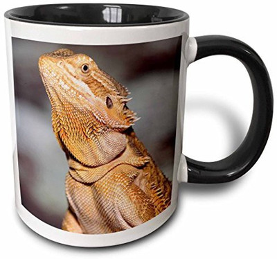 

3dRose mug_83645_4 Bearded Dragon, Pogona Vitticeps, Lizard, Reptile NA02 AJE0365 Adam Jones Two Tone Black, 11 oz, Black/White Ceramic Mug(60 ml), Multicolor