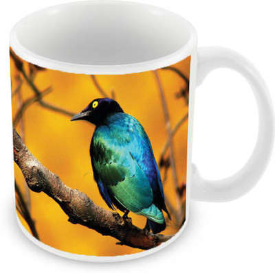 

Sleep Nature's SN-MG-1807 Ceramic Mug(350 ml), Multicolor