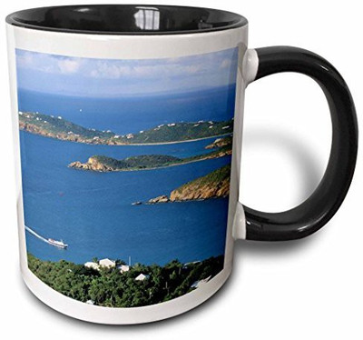 

3dRose mug_75603_4 Caribbean, USVI, Ferry in St. Thomas Harbor CA37 WBI0066 Walter Bibikow Two Tone Black, 11 oz, Black/White Ceramic Mug(60 ml), Multicolor