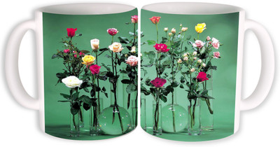 

PhotogiftsIndia rose garden flower Ceramic Mug(350 ml, Pack of 2), Multicolor