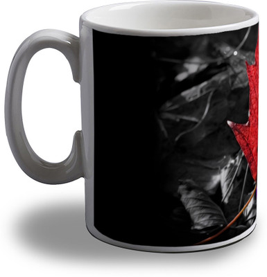 

Artifa Colored Leaf Porcelain, Ceramic Mug(350 ml), Multicolor