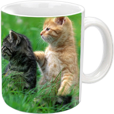 

Raj Laxmi Cute cats white Ceramic Mug(350 ml)