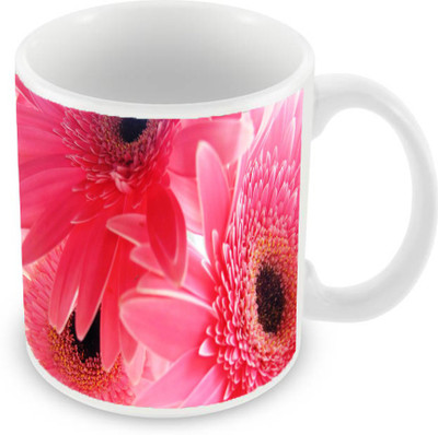 

Sleep Nature's SN-MG-1061 Ceramic Mug(350 ml), Pink
