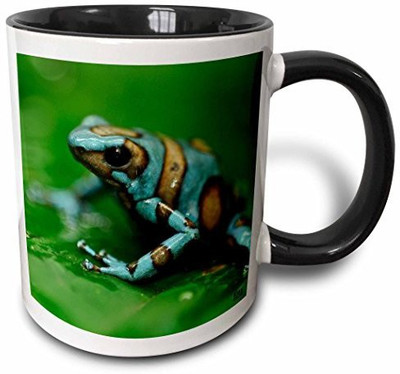 

3dRose Blue N Brown Tree Frog on A Leaf Two Tone Black, 11 oz, Black/White Ceramic Mug(60 ml)