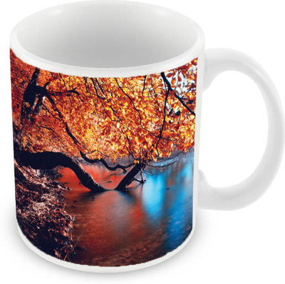 

Sleep Nature's SN-MG-1816 Ceramic Mug(350 ml), Multicolor