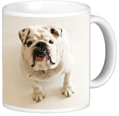 

Rikki Knight LLC Knight Photo Quality Ceramic Coffee, 11 oz, White Bull Dog Ceramic Mug(60 ml)