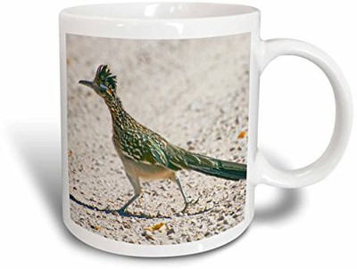 

3dRose Bosque Del Apache, Roadrunner bird - Jaynes Gallery, Ceramic, 11-Oz Ceramic Mug(60 ml), Multicolor