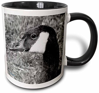

3dRose Canada Goose in Black and White Two Tone Black, 11 oz, Black/White Ceramic Mug(60 ml)