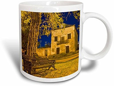 

3dRose mug_94466_1 Cottonwood Tree, Roma Plaza, Texas US44 LDI0008 Larry Ditto Ceramic, 11 oz, White Ceramic Mug(60 ml), Multicolor