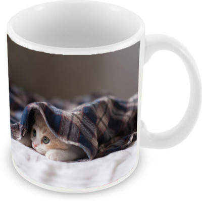 

Sleep Nature's SN-MG-1485 Ceramic Mug(350 ml), Multicolor