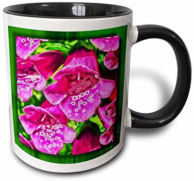 

3dRose mug_28776_4 Foxgloves Two Tone Black, 11 oz, Black/White Ceramic Mug(60 ml), Multicolor