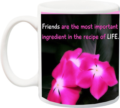 

ME&YOU Gift for Boyfriend/Girlfriend On Valentine's Day;Friends Are The Most Important Ingredient Printed Ceramic Mug(325 ml), Multicolor