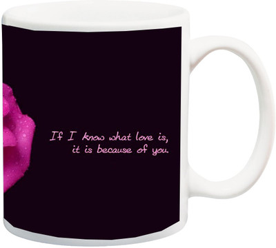 

ME&YOU Gift For Him/ Her/ Girl Friend/ Boy Friend ; If I Know What Is Love, It Is Because Of You Printed Ceramic Mug(325 ml), Multicolor