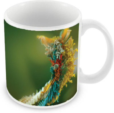 

Sleep Nature's SN-MG-2052 Ceramic Mug(350 ml), Green