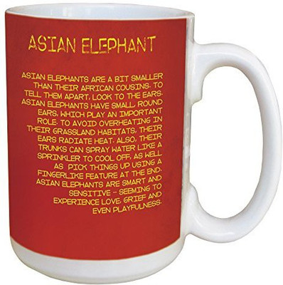

Tree-Free Greetings Greetings 45937 Asian Elephant Ceramic with Full-Sized Handle, 15-Ounce Ceramic Mug(60 ml), Multicolor