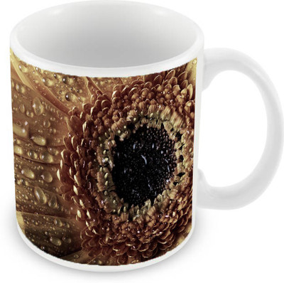 

Sleep Nature's SN-MG-1693 Ceramic Mug(350 ml), Multicolor