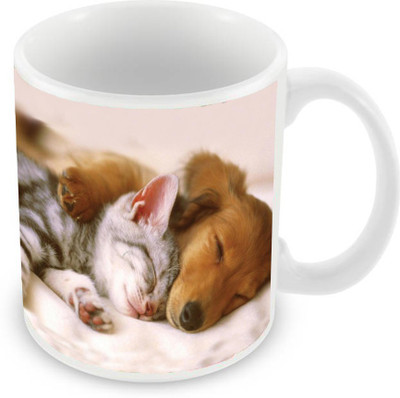 

Sleep Nature's SN-MG-1593 Ceramic Mug(350 ml), Multicolor