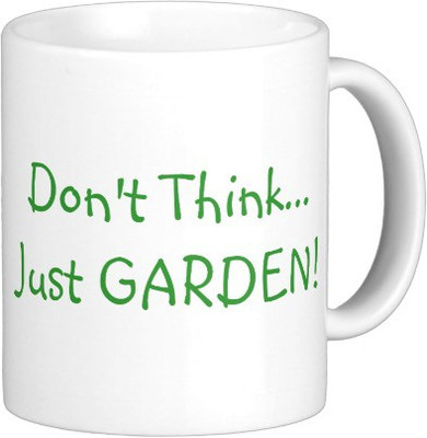 Exoctic Silver 182 Ceramic Mug(250 ml), White