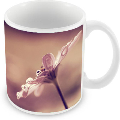 

Sleep Nature's SN-MG-1613 Ceramic Mug(350 ml), Multicolor