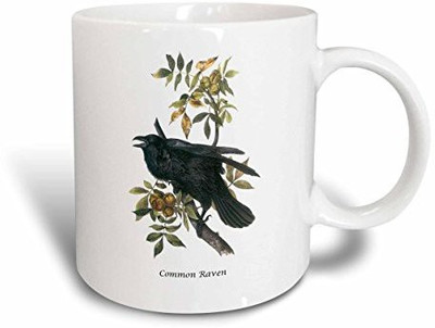 

3dRose Common Raven By John James Audubon Ceramic, 11 oz, White Ceramic Mug(60 ml), Multicolor